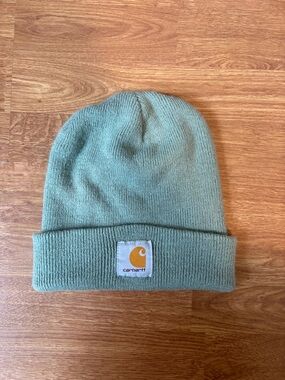 Carhartt Cuffed Beanie in Sage